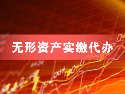 泰兴无形资产实缴资本代办