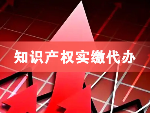 泰兴知识产权实缴资本代办